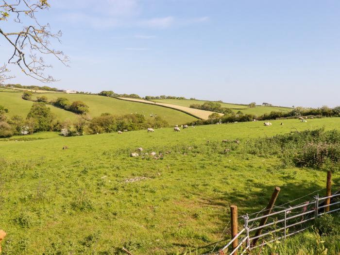 Shepherds Retreat, is in Maxworthy near Crackington Haven, Cornwall. Couples. Off-road parking. 1bed