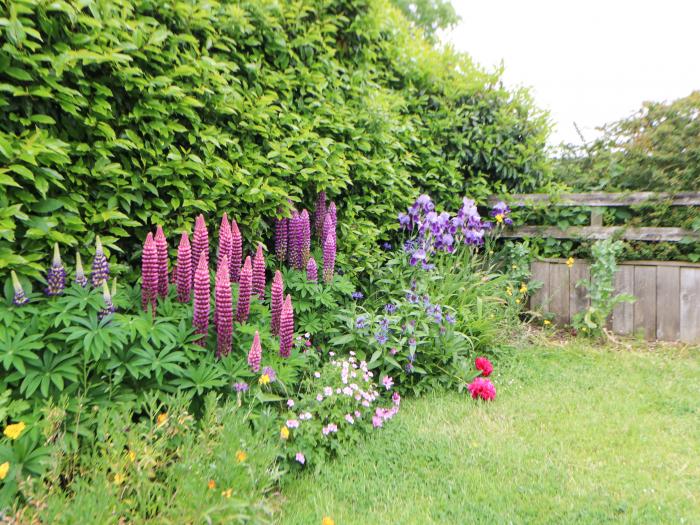 Mordon Moor Cottage, Sedgefield, County Durham. Rural location. Garden. Off-road parking. Woodburner