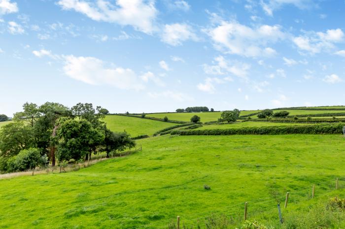 The Hayloft in Bampton, Devon. 17th century. Hay Barn. Three bedrooms. Private valley. Pet-friendly.