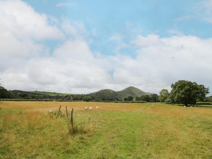 Ragleth, Church Stretton, Shropshire. Pet-friendly. WiFi. Garden patio. Washing machine. Character.