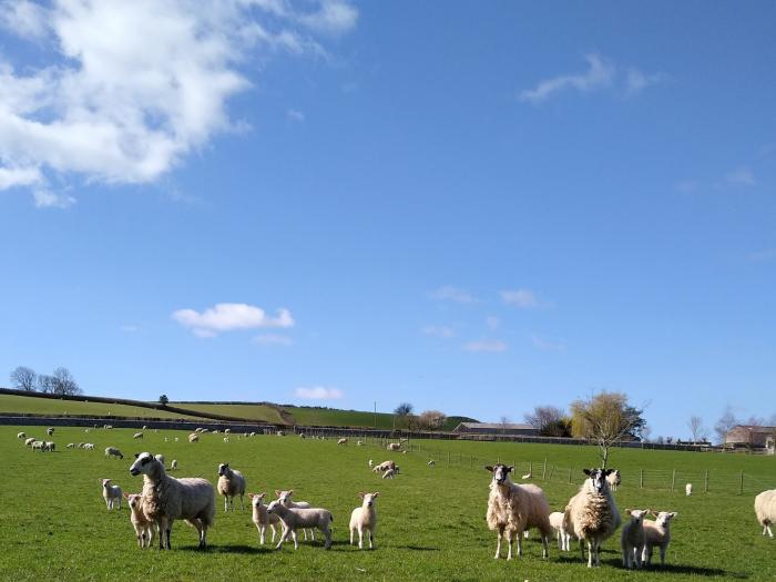 Keepers Lodge, at Brackenthwaite Holidays, near Arnside, Cumbria. Two-bedroom, family-friendly barn.