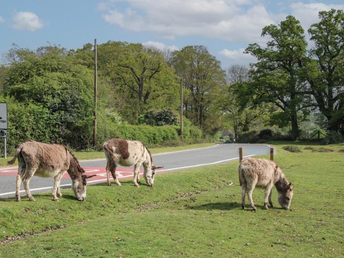 Warren Park 45, is in Downton, Hampshire. Two-bed lodge, with access to on-site facilities. Family.