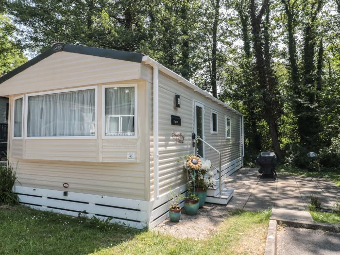 Warren Park 45, is in Downton, Hampshire. Two-bed lodge, with access to on-site facilities. Family.