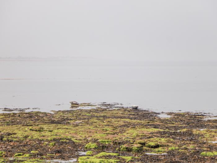 Corner Cottage nr Buckie, Moray Coast. Harbour nearby. Pets welcome. Coastal. 3-bed. Travel cot