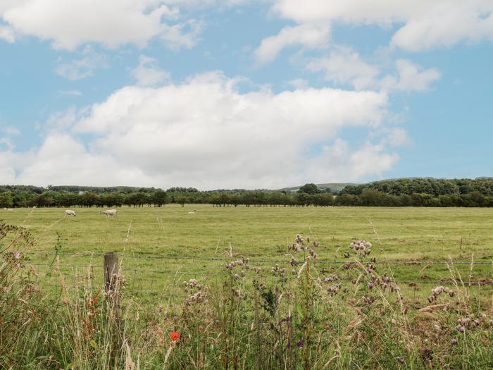 Mayfield in Pocklington, Yorkshire. 1 bedroom. Woodburning stove. Off-road parking. Couples retreat.