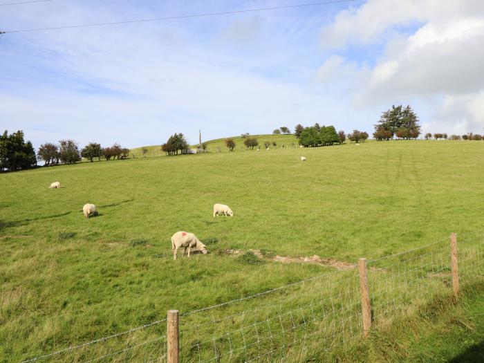 Mynydd Y Glyn Lodge, in Llanfyllin, Llanrhaeadr-ym-Mochnant, Powys. Hot tub. Electric fire. Smart TV