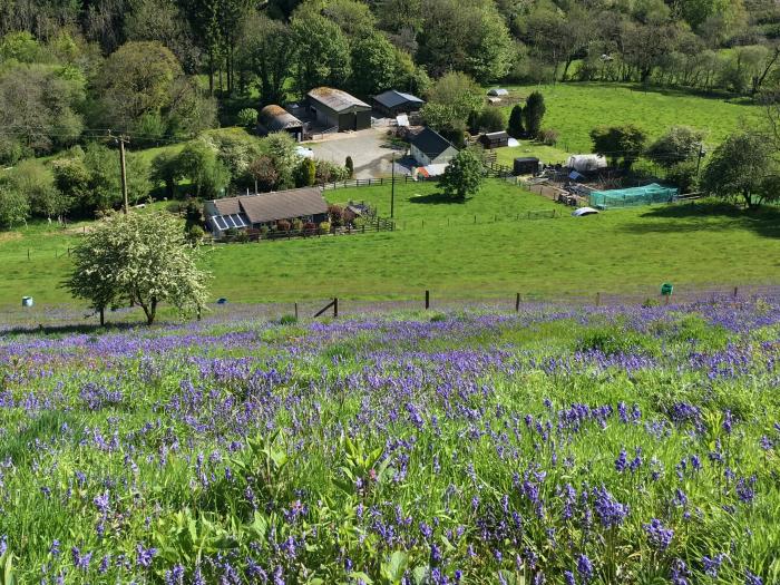 Lletty Bach in Login nr Whitland, Carmarthenshire. Enclosed garden. Countryside views. Pet-friendly.