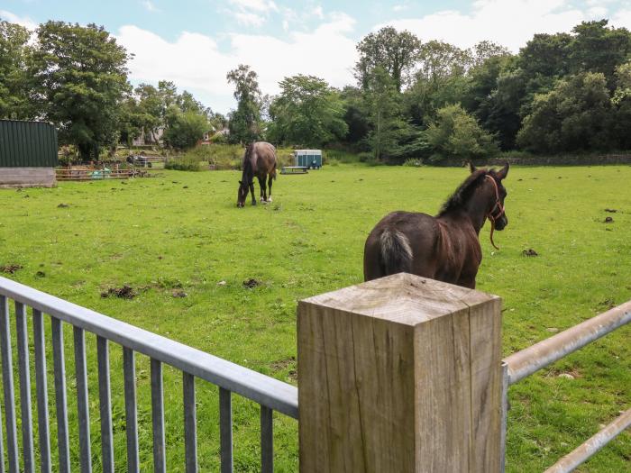 Coed Y Glyn Bach, Groeslon near Penygroes, Gwynedd. Off-road parking. Enclosed garden. Pet-friendly.