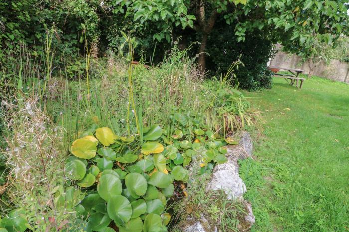 Mulberry Cottage in Staple, Devon. Woodburning stove. Travel cot and highchair. Pet-friendly. Garden