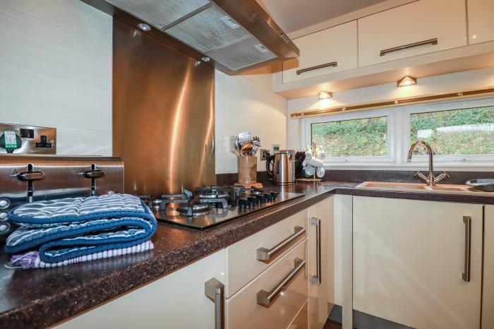 25 Bossiney Bay, near Tintagel, Cornwall. Two-bedroom lodge with rural views and hot tub. Open-plan.