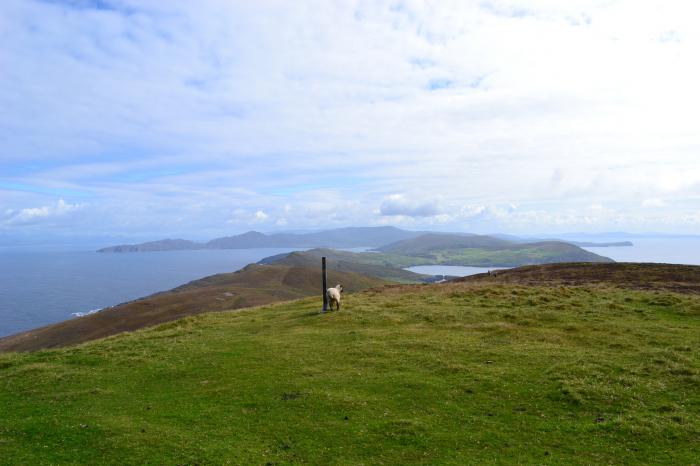 Casey House is near Castletownbere, County Cork. Four-bedroom home enjoying sea views. Large. Garden