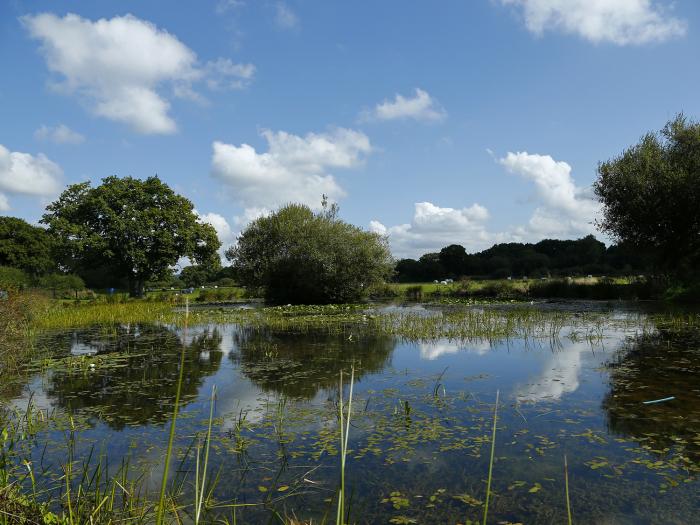 Hazel Lodge, single-storey lodge in Teigngrace, Newton Abbot, Devon, with on-site pool and amenities