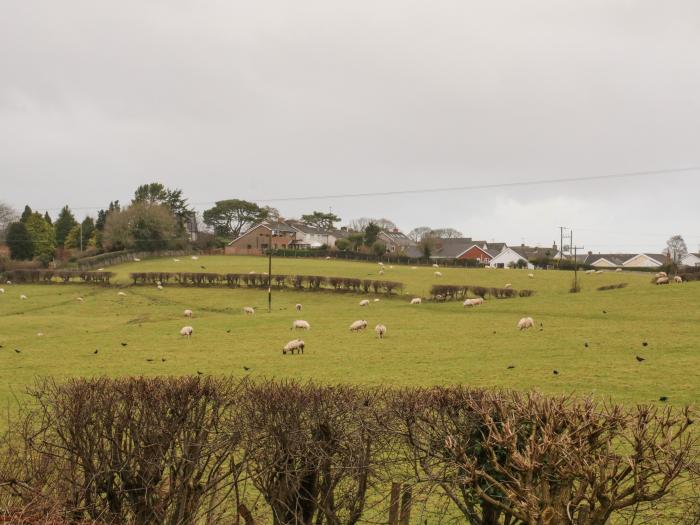 Argoed is in Holywell, Flintshire. Pretty countryside views. Near Clwydian Range and Dee Valley AONB