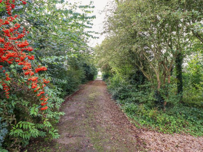 Woodland Lodge in Frithville, Boston, Lincolnshire. Dog-friendly. Romantic. Woodburning stove.