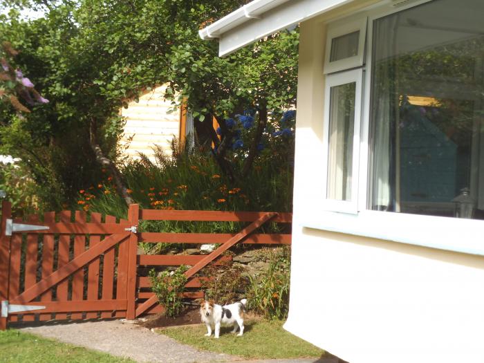 Woodland Retreat, Perrancoombe near Perranporth. Pet-friendly. Close to a beach. Rural location. TV.