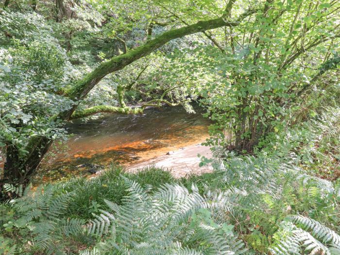 Teign River Retreat, Drewsteignton nr Moretonhampstead, Devon. Ground-floor living. Near River Teign