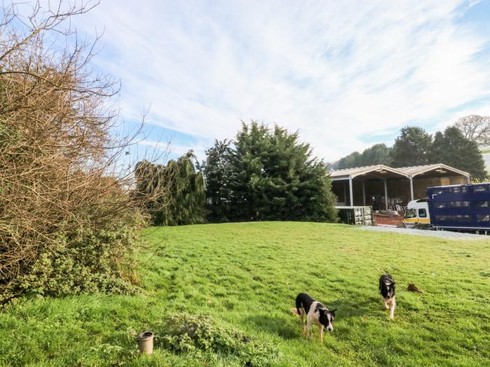 Twyford Farm Cottage, Tiverton