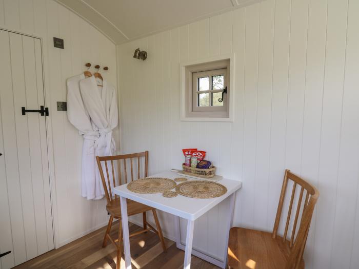 Dragonfly Shepherd's Hut, Aberaeron