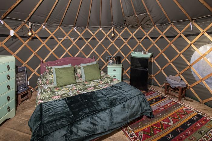 Treehouse Yurt, Beguildy