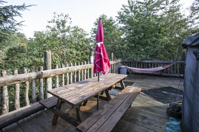 Treehouse Yurt, Beguildy