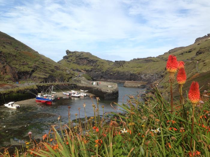 Harbour Light, Boscastle, Cornwall. Riverside views. Pet-friendly. Local walks. Close to shop, pubs.