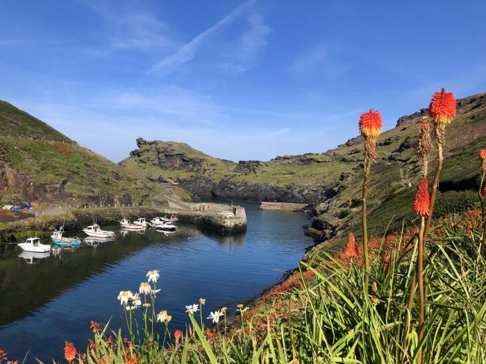 Harbour Light, Boscastle, Cornwall. Riverside views. Pet-friendly. Local walks. Close to shop, pubs.