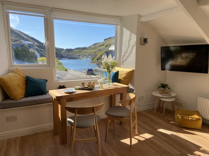 Harbour Light, Boscastle, Cornwall. Riverside views. Pet-friendly. Local walks. Close to shop, pubs.