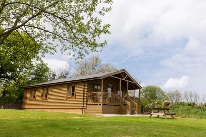 Tarka's Holt Log Cabin, Torrington, Devon. Set on a spacious parkland with on-site facilities. WiFi.