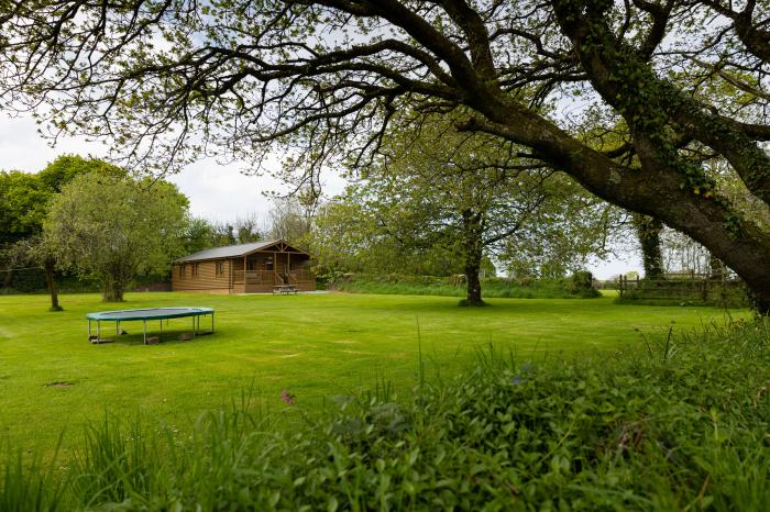 Tarka's Holt Log Cabin, Torrington, Devon. Set on a spacious parkland with on-site facilities. WiFi.