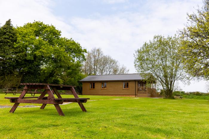 Tarka's Holt Log Cabin, Torrington, Devon. Set on a spacious parkland with on-site facilities. WiFi.