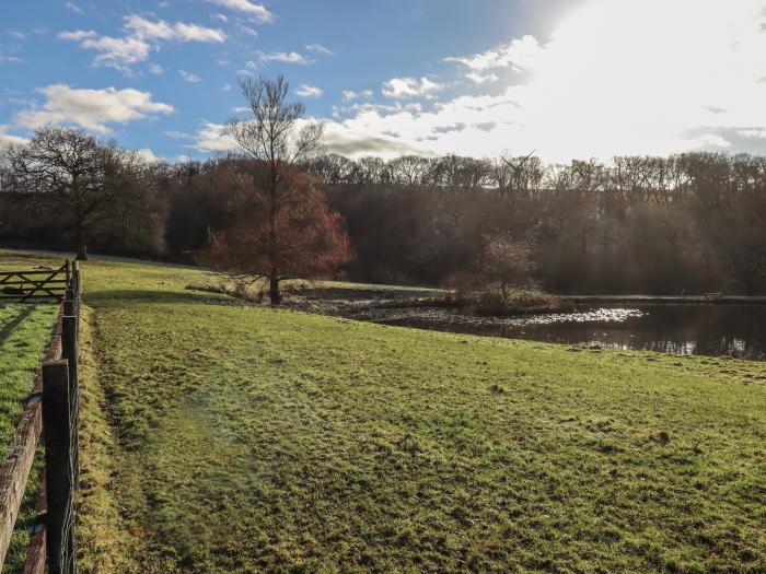 Dairy Cottage, Beaples Barton near South Molton, Devon. Countryside location. Pet-friendly. Fishing.