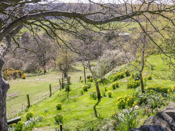 Honey Bee Cottage, Staintondale