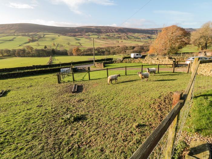 The Arches, North York Moors And Coast