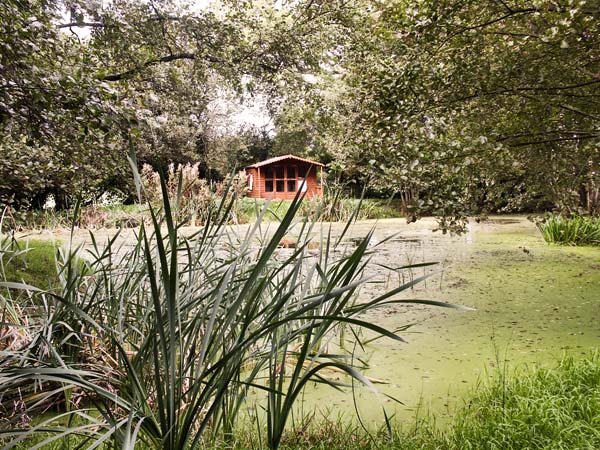 High Park Barn, Devon