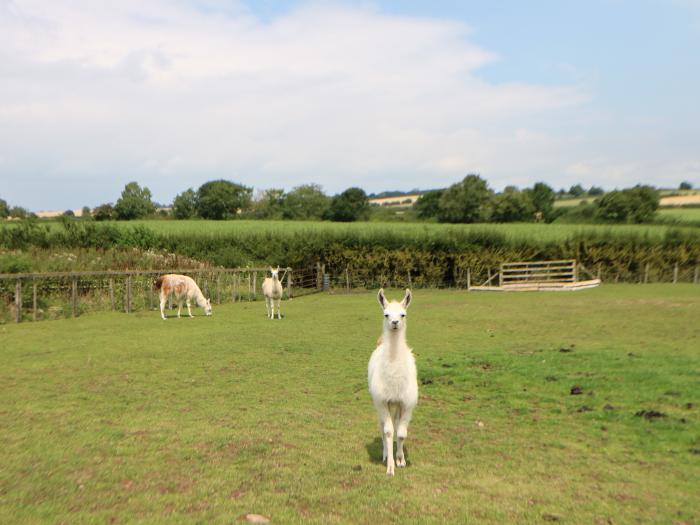 Cornfield Lodge, North York Moors