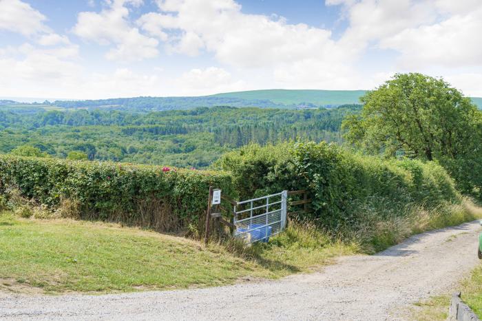 The Dairy, Wales