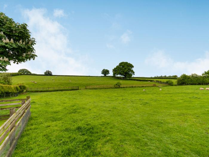 Hobbits, Yorkshire