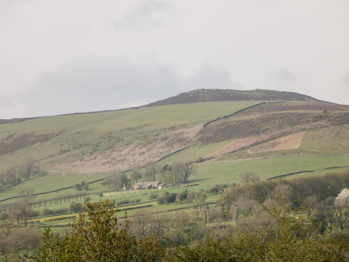 Loose Hill Lea, Peak District