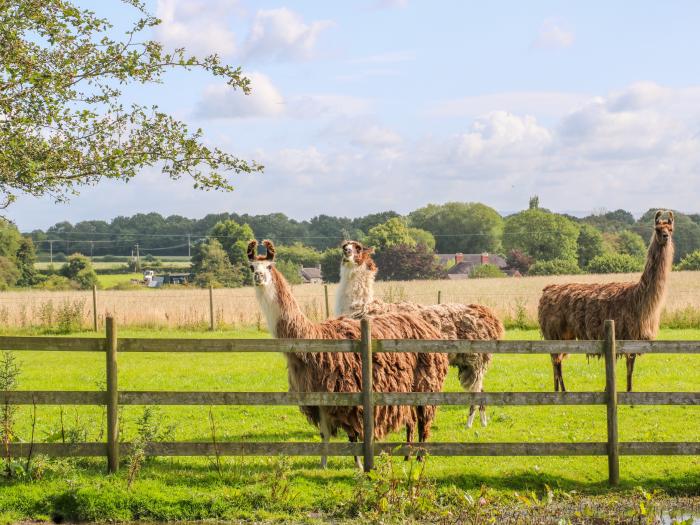 Chequer Stable, Cheshire