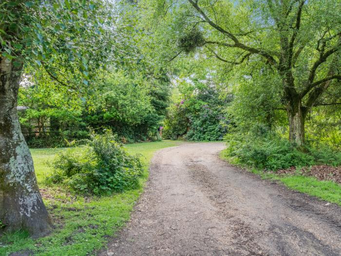 Endymion, South Of England