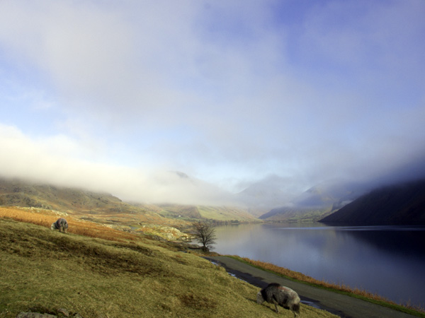 William Court Cottage, The Lake District And Cumbria