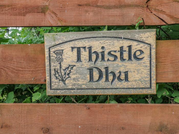 Thistle Dhu, Scotland