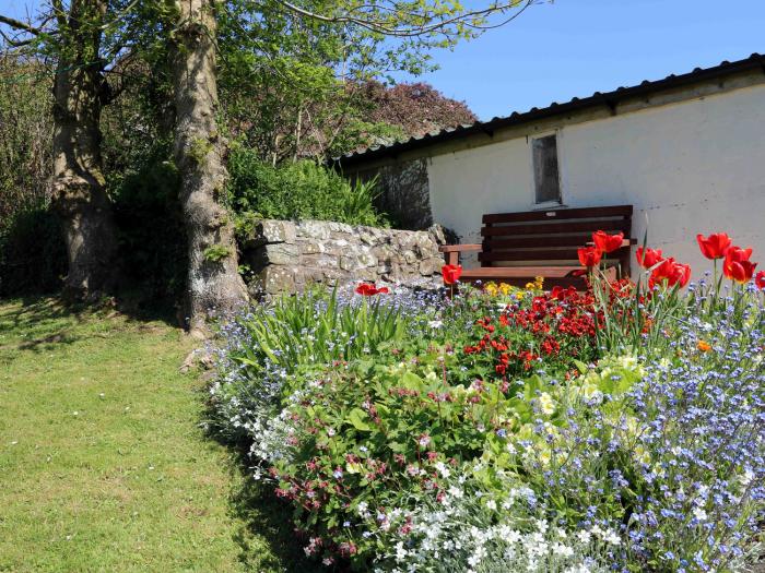 The Cottage, Devon