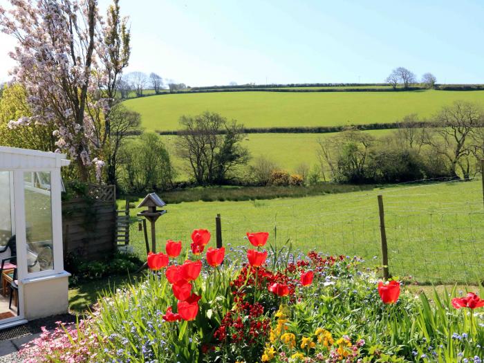 The Cottage, Devon