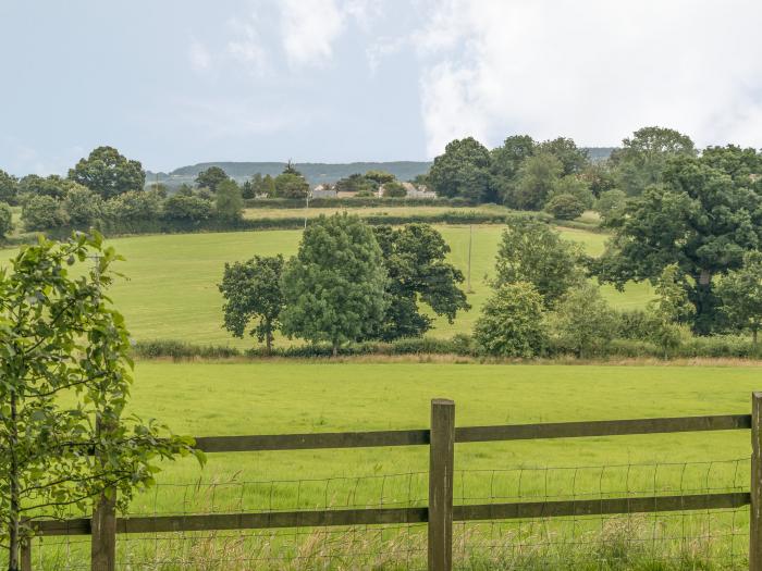 Pipistrelle Lodge, Devon