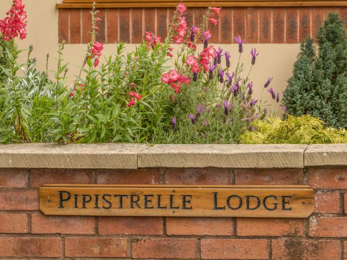 Pipistrelle Lodge, Devon