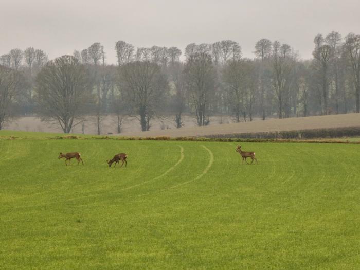 Bramley Nook, Hampshire