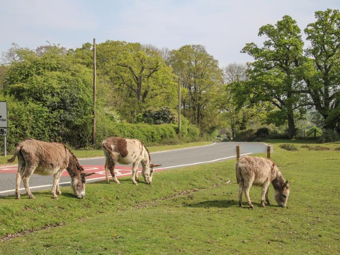 Bramley Nook, Hampshire