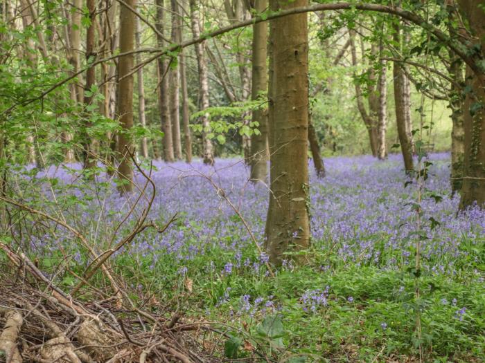 Bramley Nook, Hampshire