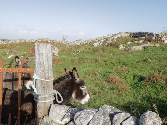 Teach Teolai, Ireland